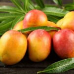 செந்தூரா / Senthura - 1Kg